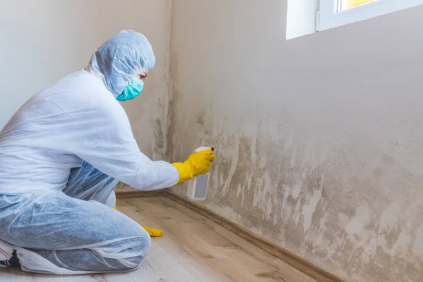 Mold inspector in Lynn performing thermal imaging